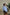 68cc5d377b4f5.jpg