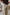 69e10d968047b.jpg