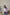 69e110bf5869b.jpg