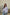 6a3bade4a3100.jpg